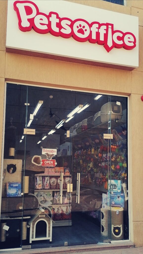 Google Photo 4