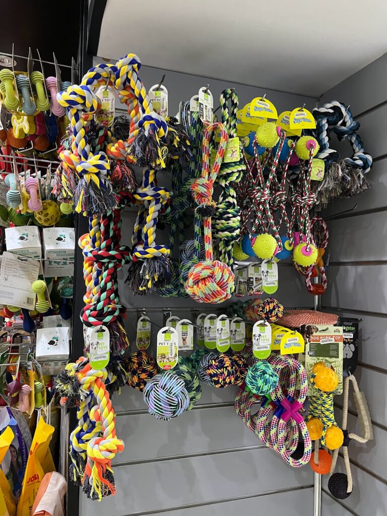 Google Photo 4