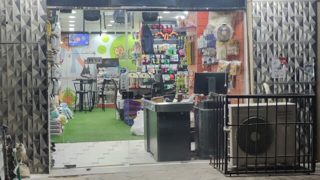 Google Photo 7