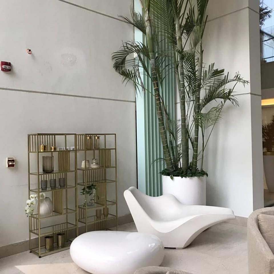 Google Photo 8