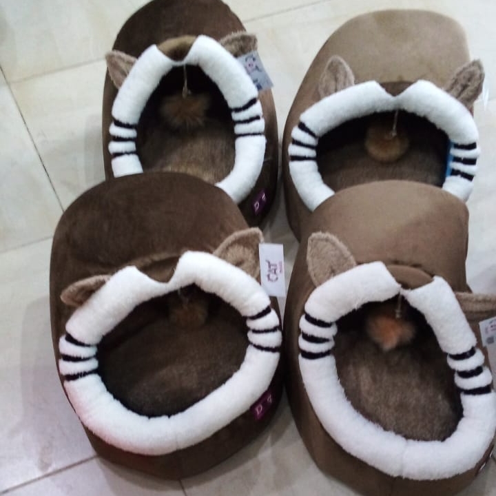 Google Photo 10