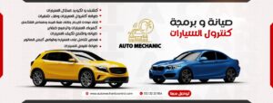 الصورة 8