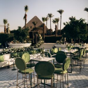 الصورة 6