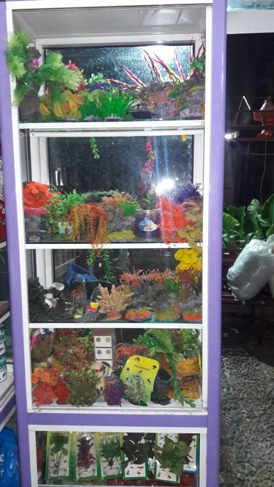 Google Photo 3