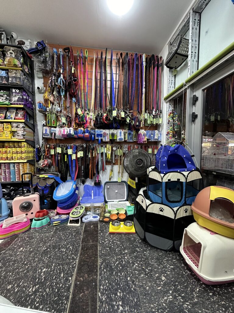Google Photo 4