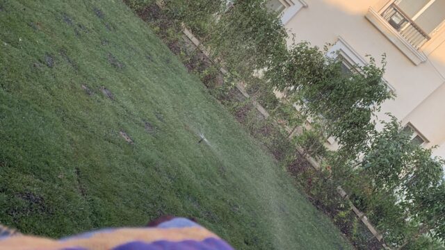Google Photo 2