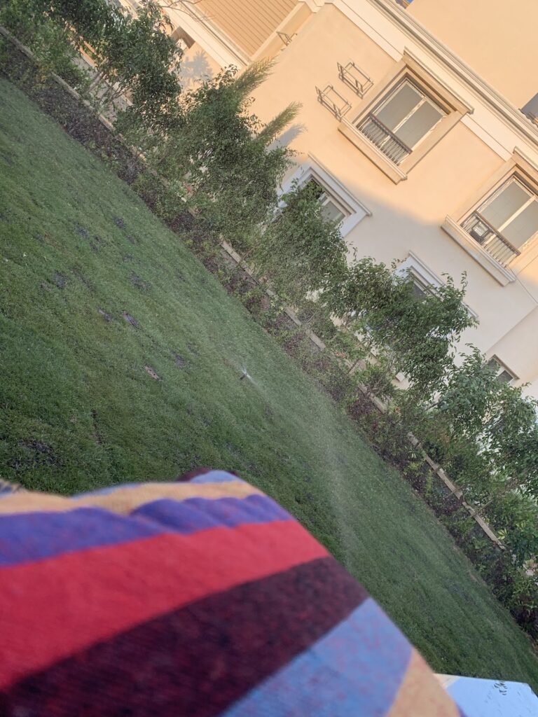 Google Photo 2