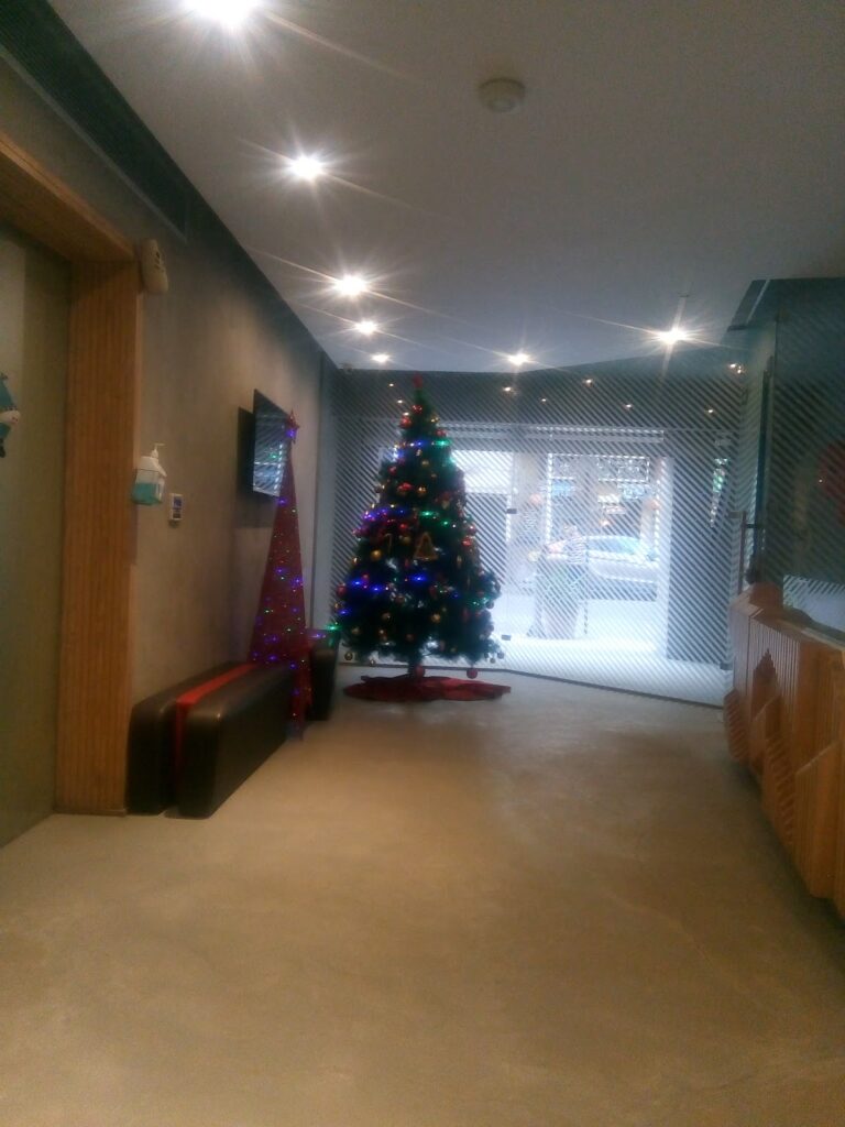 Google Photo 8