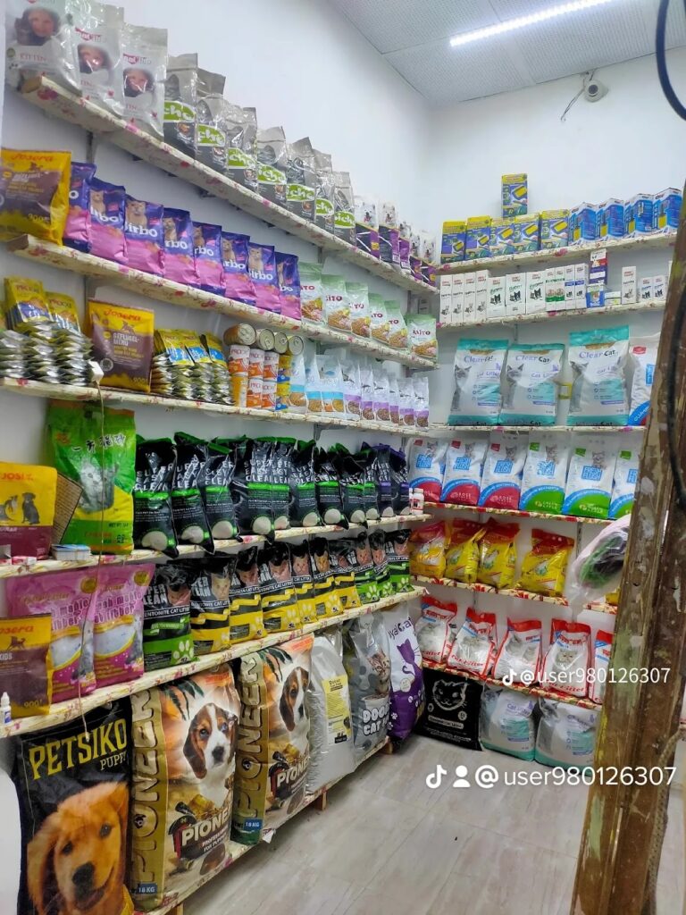 Google Photo 5