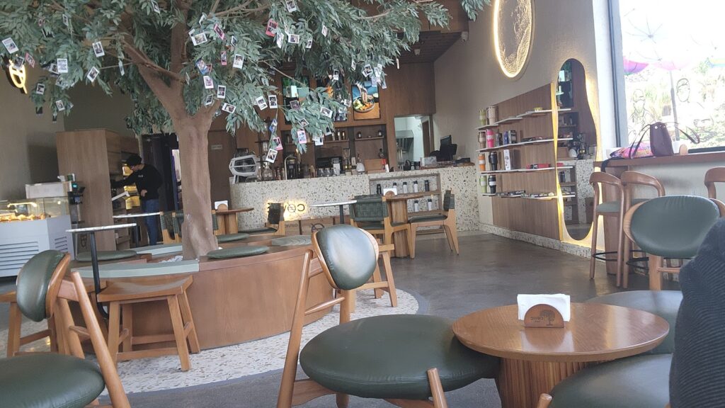 Google Photo 5