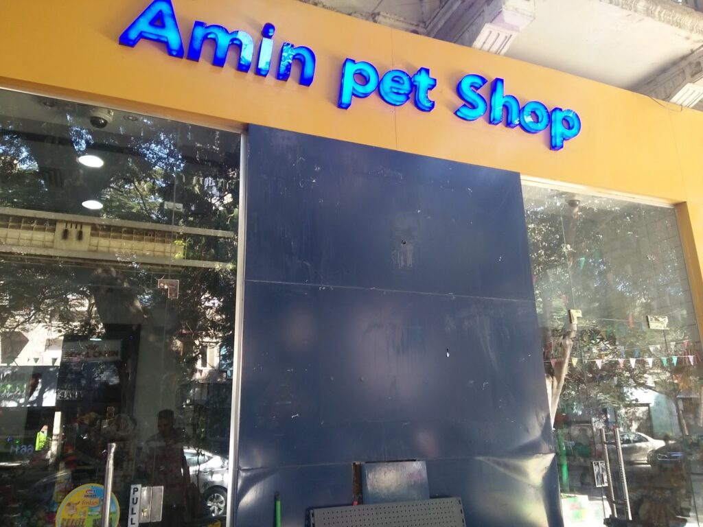 Google Photo 10