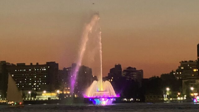 Google Photo 3