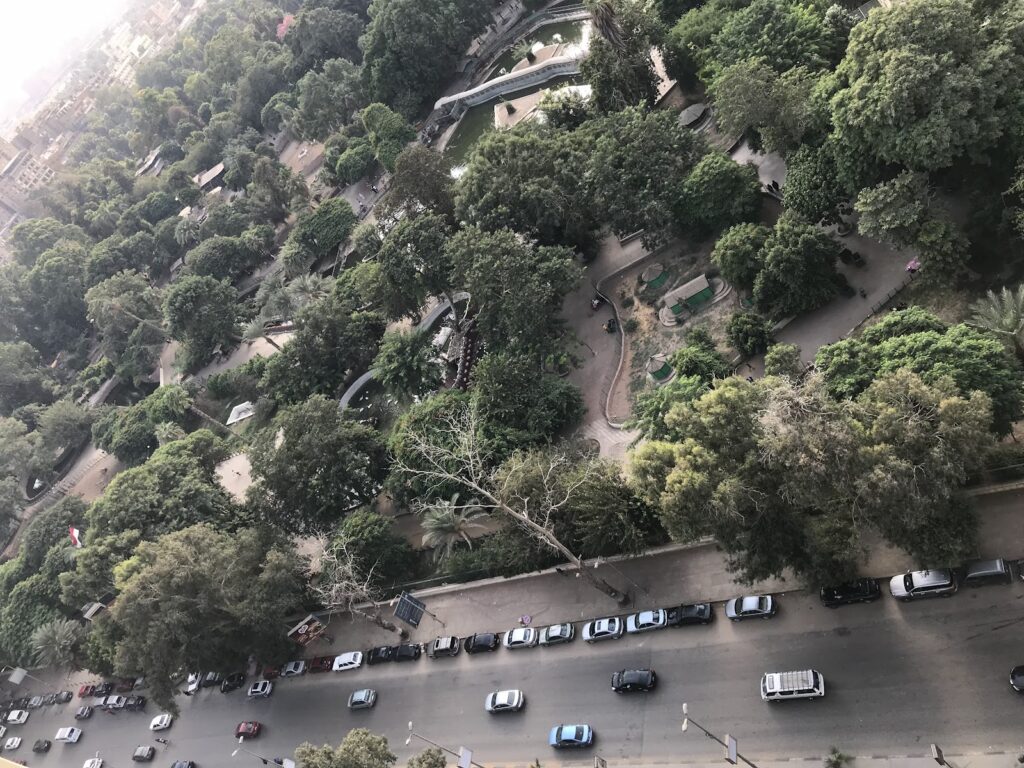 Google Photo 9