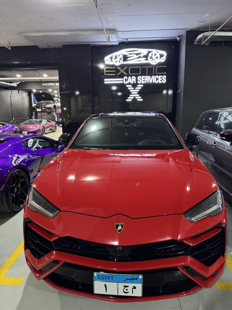 Google Photo 6