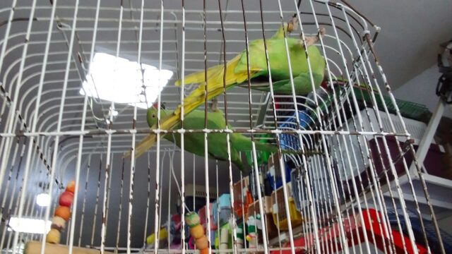 Google Photo 5
