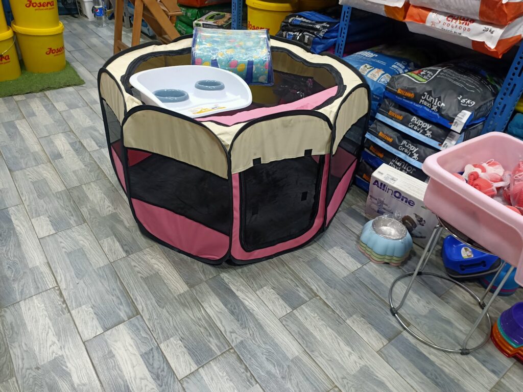 Google Photo 5