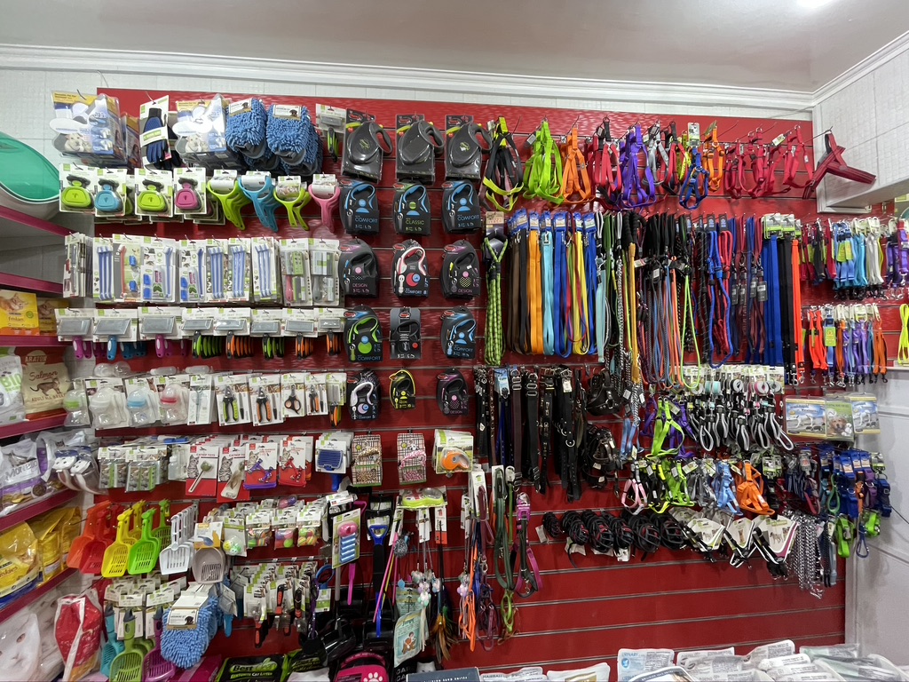 Google Photo 9
