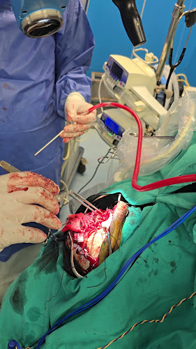 Dr. Ahmed Zaher’s Neurosurgery Clinic