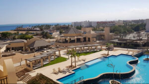 الصورة 1