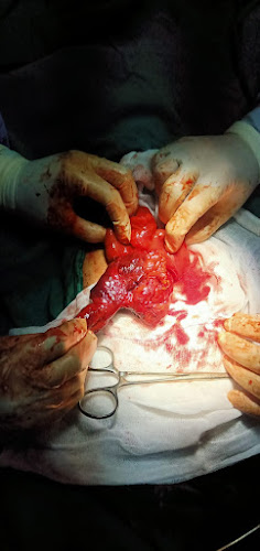General Surgery and Urology Clinic, Dr. Antar Labib Al-Sheikh Ali