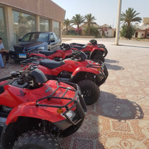 الصورة 1
