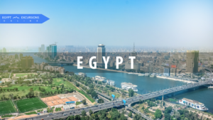 الصورة 1