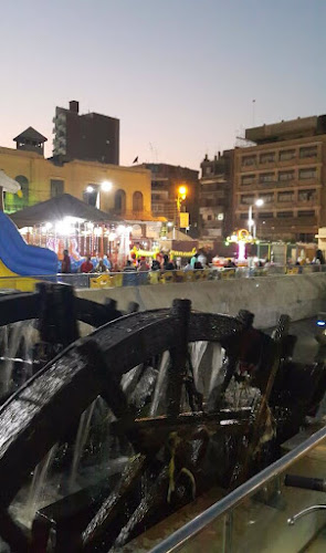 Waterwheels of Fayoum.