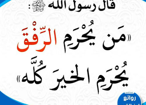 AHVAweqRhHypM8HkI3xxFgkqGlzG8i5FsigcWPES6dp2ZB6ONkrtpquvClLOTidMWbZ1AOyz4p-5eAAgPIJakjZ6ctrXezPFXGREsC59GwXuLho-0CMa6NRHkCRLOYel4W5yzsYlhtbKw800-h500-k-no-1.jpg