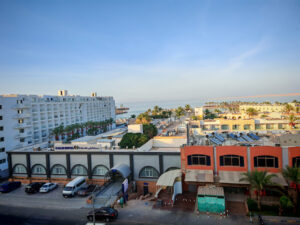 الصورة 1