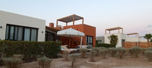 الصورة 1