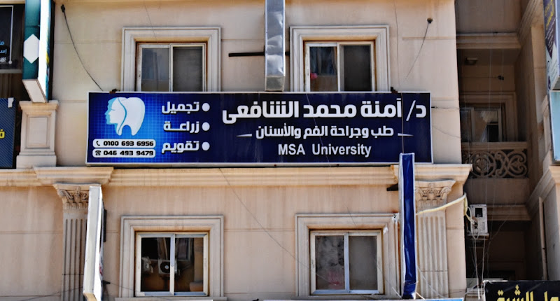 Dr. Amna Mohamed Elshafei, Bachelor of Oral and Dental Medicine and Surgery