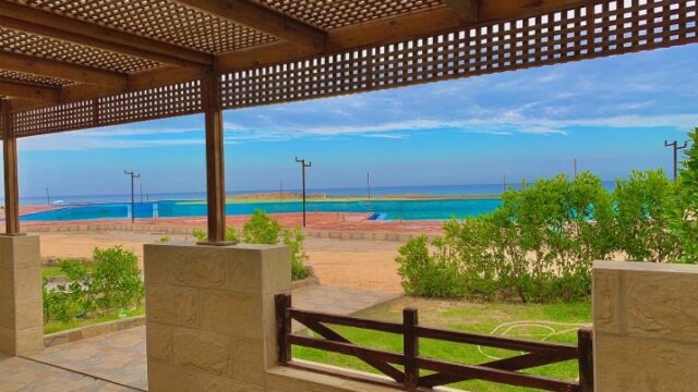 Google Photo 3