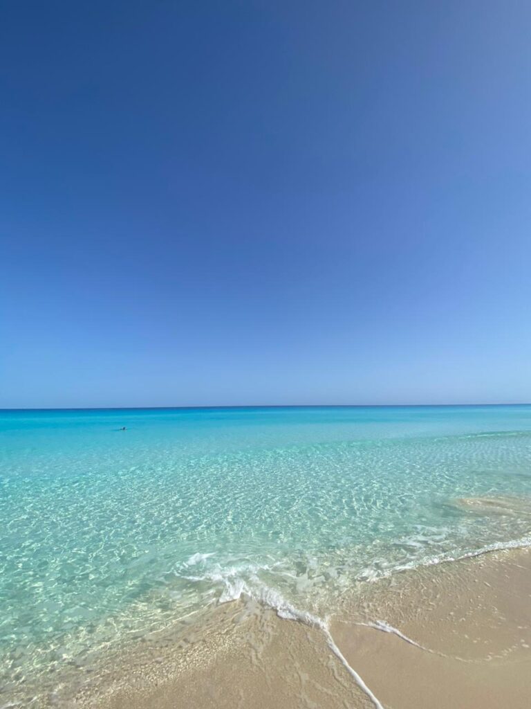 Google Photo 6