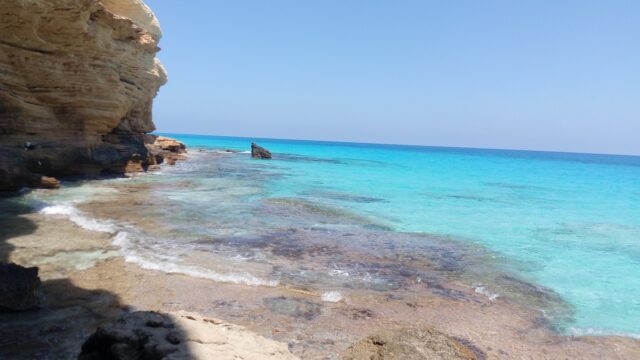 Google Photo 8