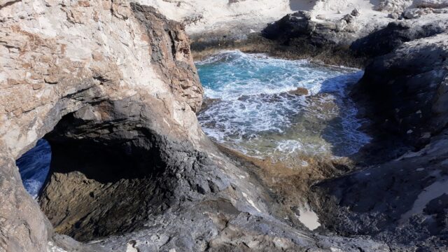 Google Photo 4