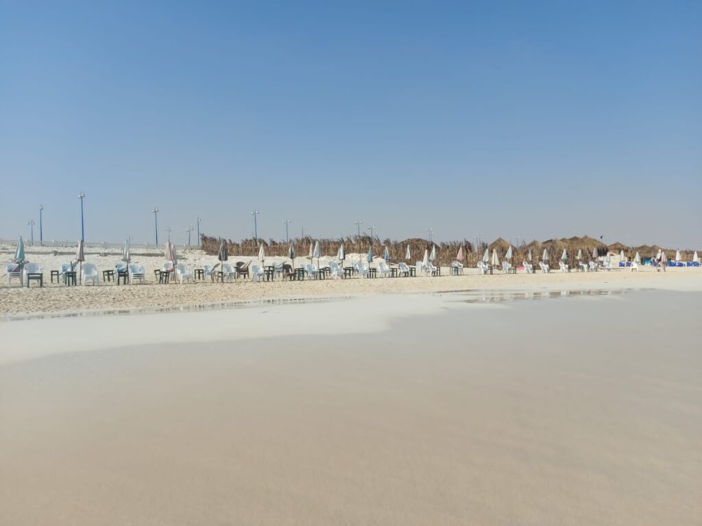 Google Photo 2
