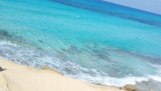 Google Photo 3