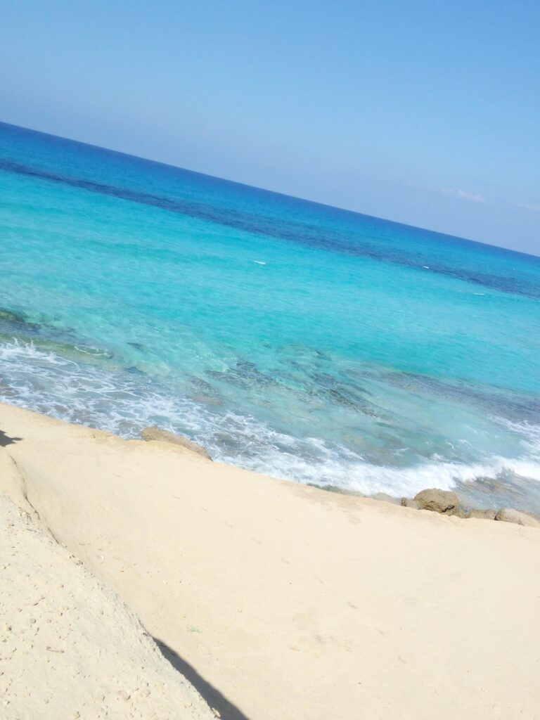 Google Photo 3