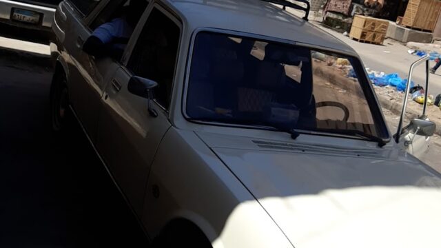 Google Photo 2