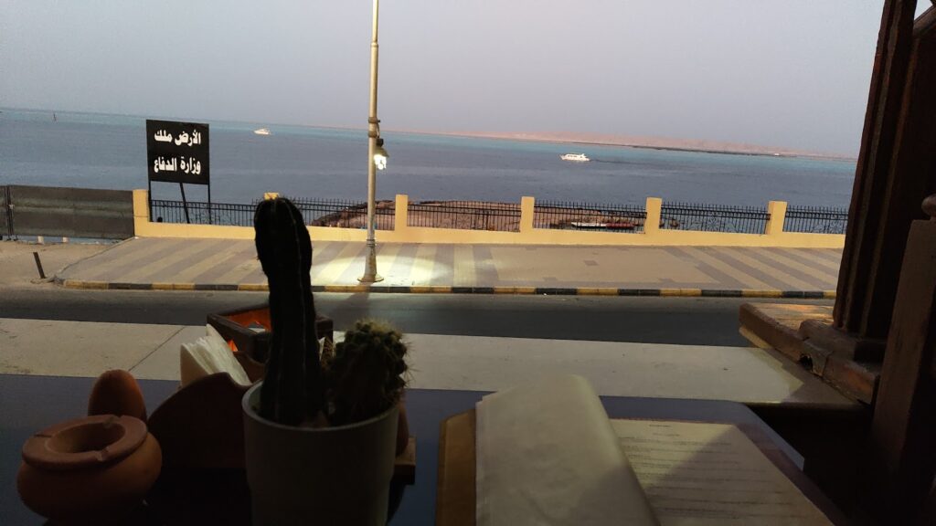 Google Photo 9