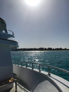 الصورة 9