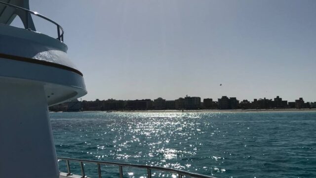 Google Photo 9