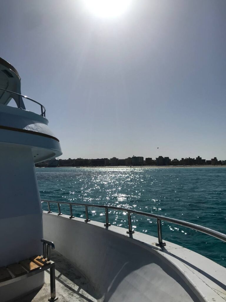 Google Photo 9