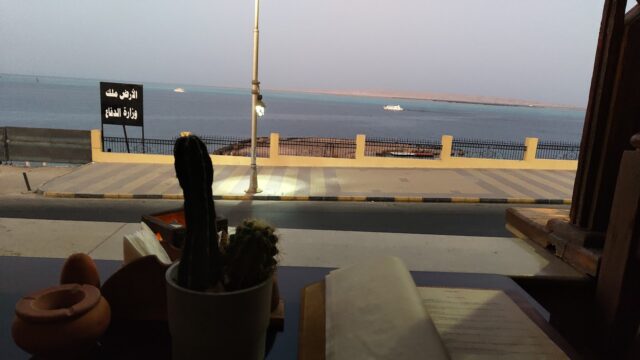 Google Photo 9