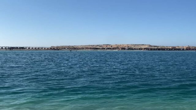 Google Photo 7