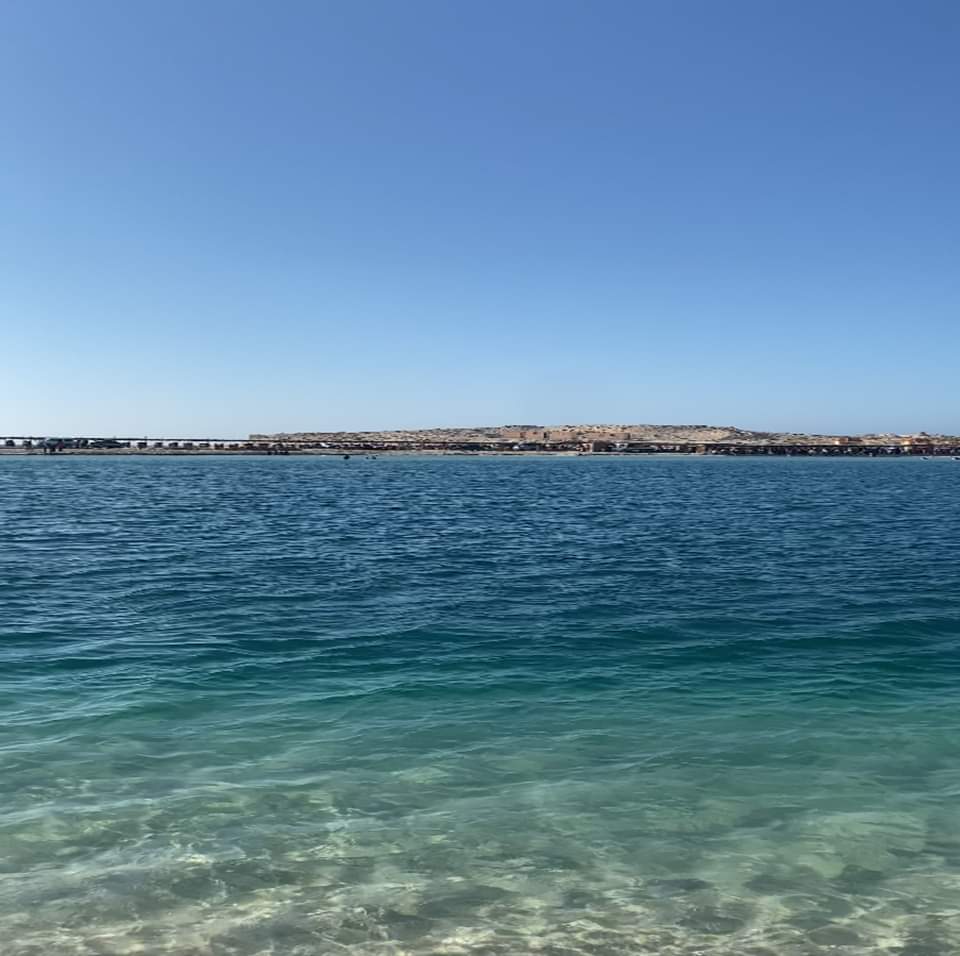 Google Photo 7