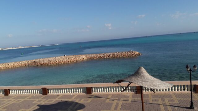 Google Photo 9