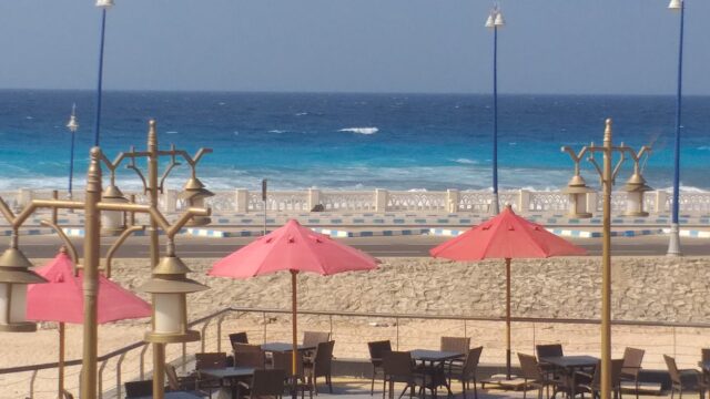 Google Photo 6