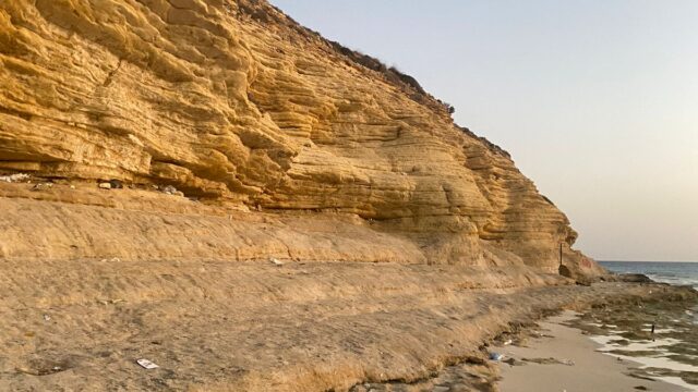 Google Photo 9