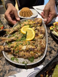 الصورة 10